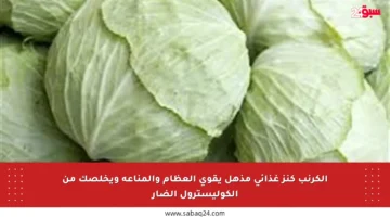 الكرنب كنز غذائي مذهل يقوي العظام والمناعة ويخلصك من الكوليسترول الضار